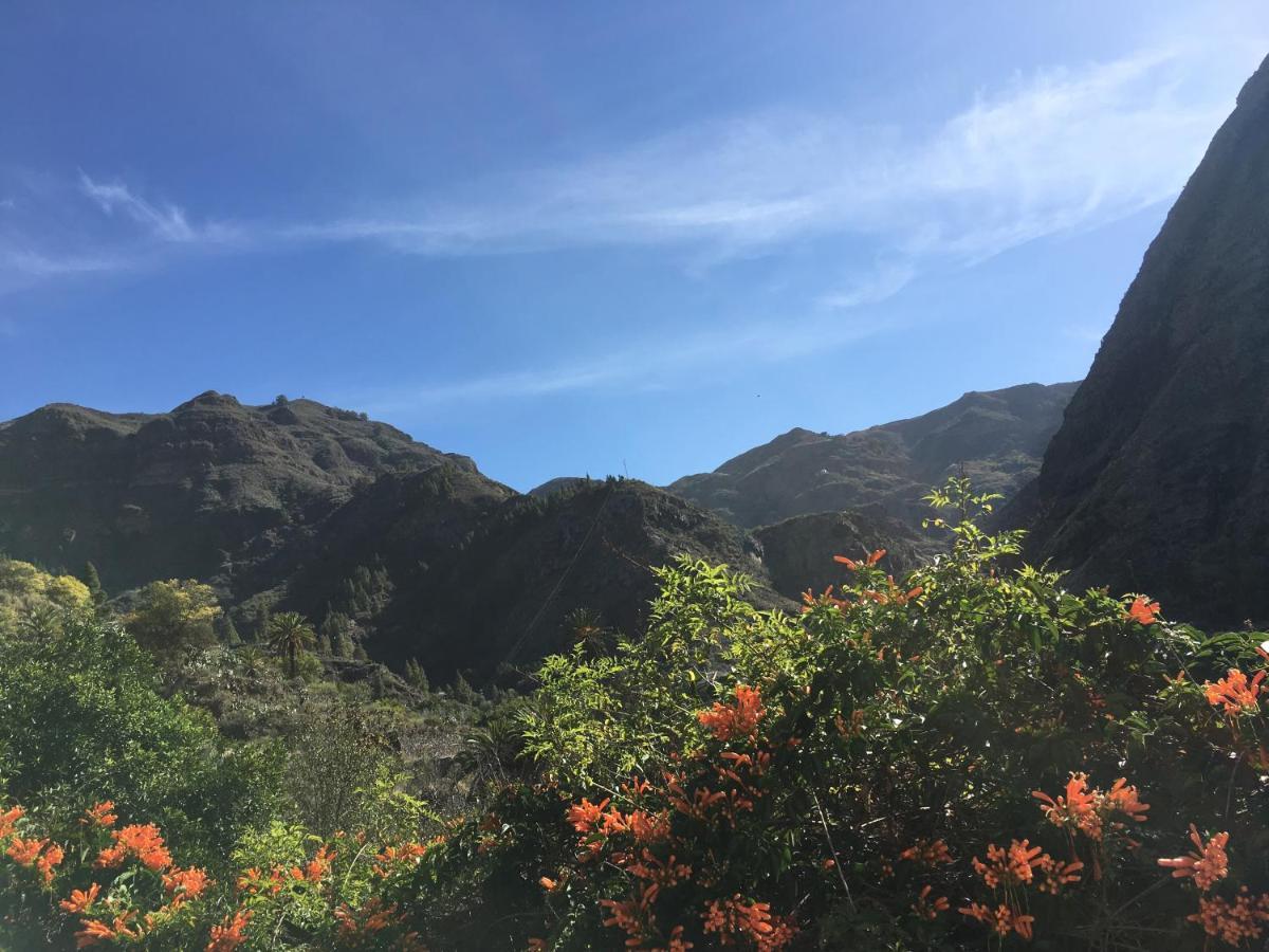 شقة Casa Del Sol GRAN CANARIA المظهر الخارجي الصورة